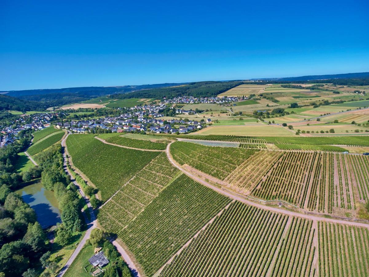 Ferienweingut Willems Oberemmel Kültér fotó