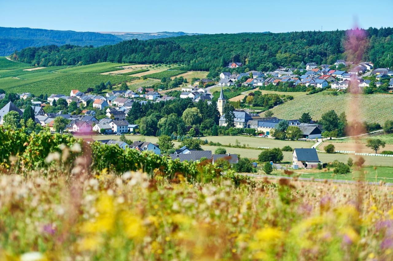 Ferienweingut Willems Oberemmel Kültér fotó