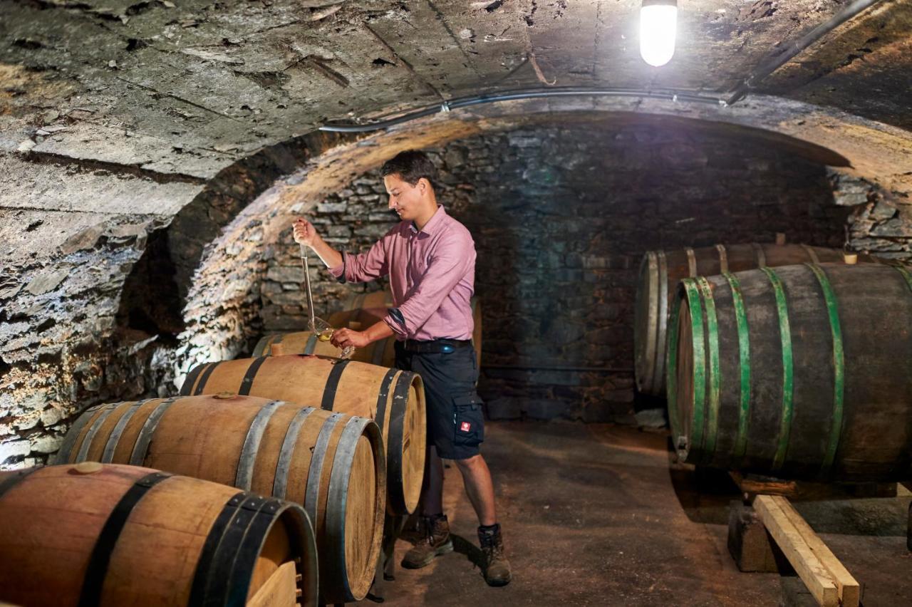 Ferienweingut Willems Oberemmel Kültér fotó